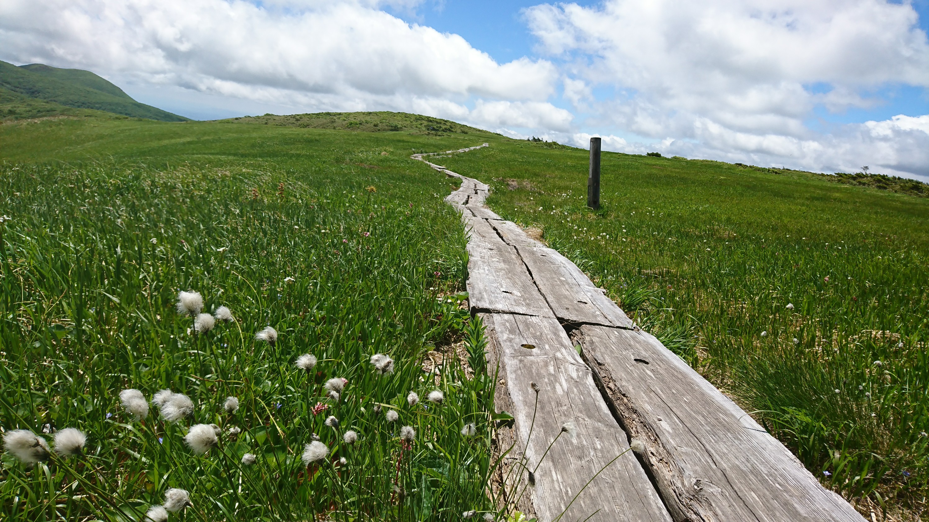 Fathers Day記念 栗駒山 秣岳 天馬尾根コース ﾓﾝｻﾝﾐｯｼｪﾙ Black Redさんの栗駒山 須川岳 秣岳 虚空蔵山の活動データ Yamap ヤマップ