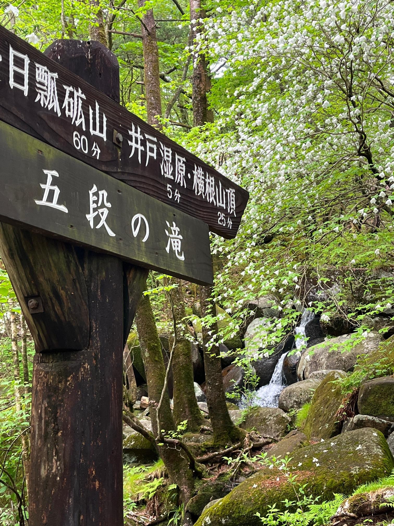 横根山 / まーさんさんの横根山・方塞山・井戸湿原の活動データ YAMAP / ヤマップ