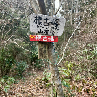 岩湧山・一徳防山・三石山 根古峰の三角点に寄る余裕も出てきました