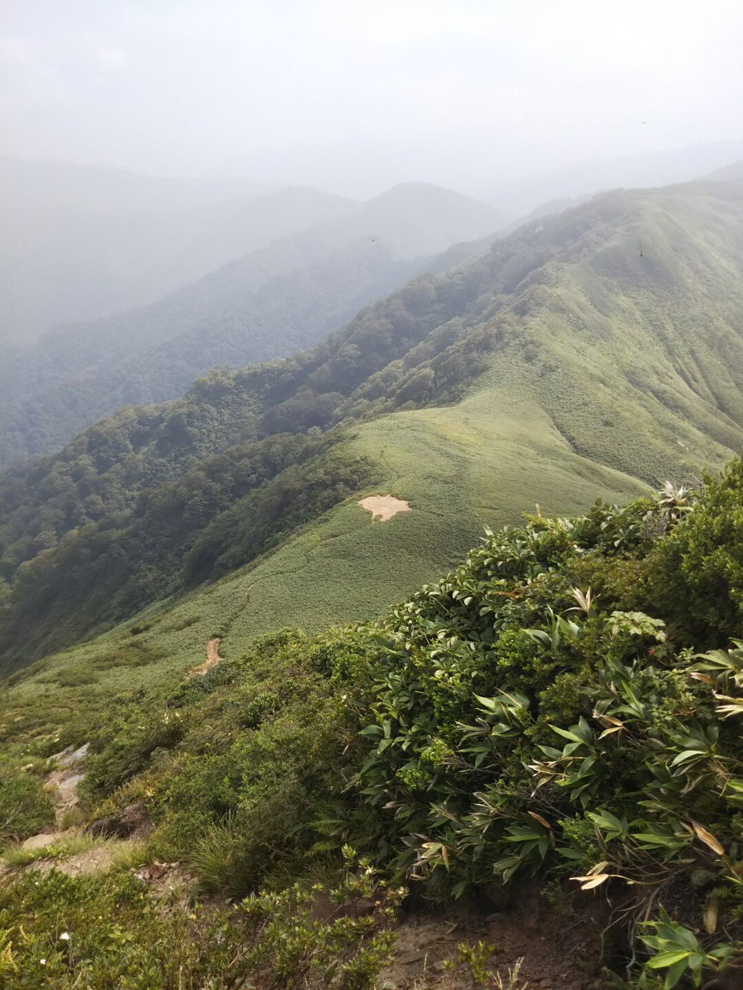 冠山(岐阜県・福井県)・金草岳20190804 / お水の世界さんの冠山・金草岳の活動データ YAMAP / ヤマップ