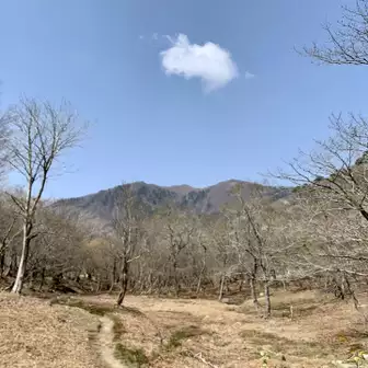 根の平峠界隈〜タケ谷〜愛知川源流、このあたり。好きなエリア❤️も少ししたらブナの新緑が🩵