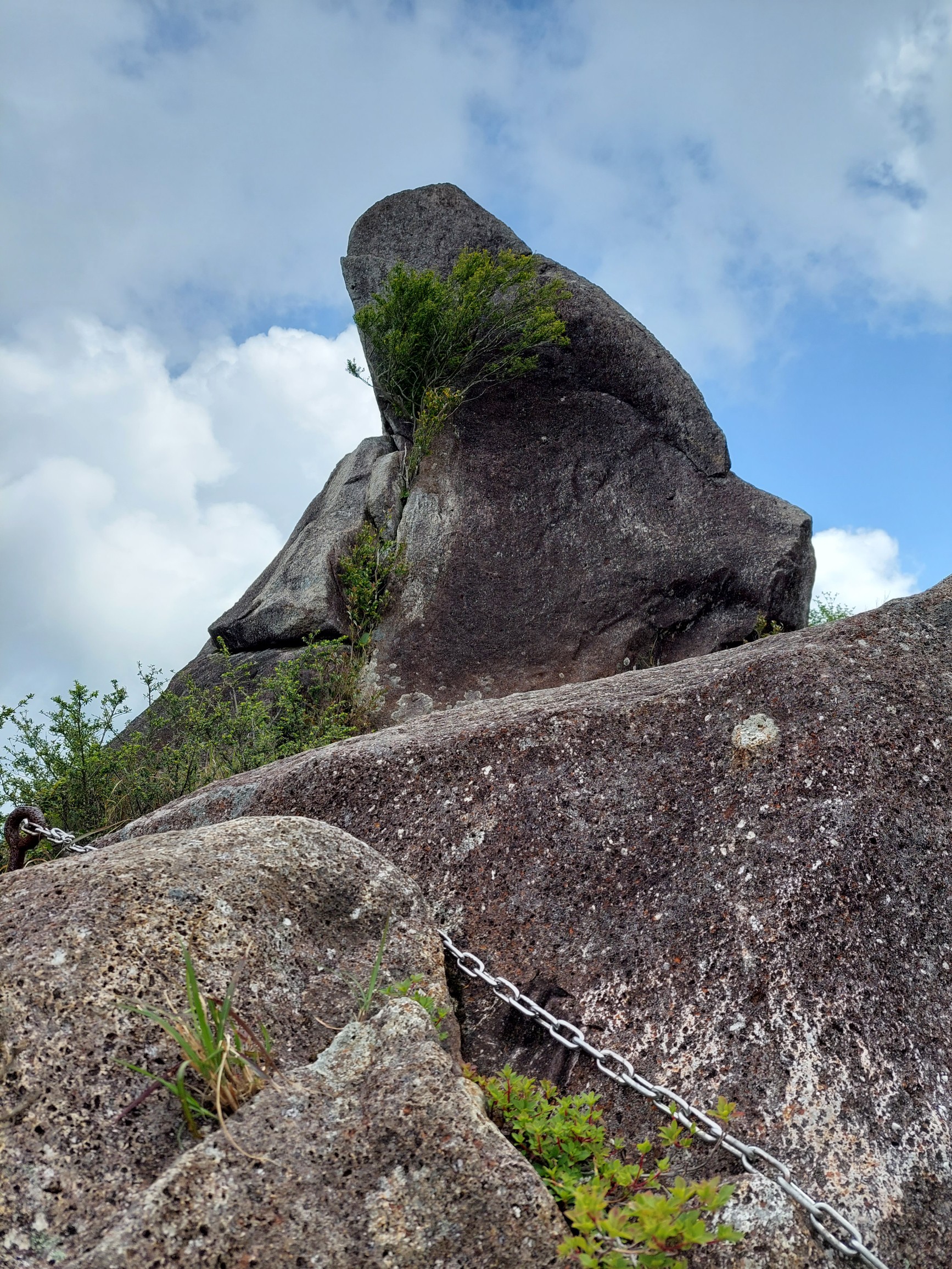 烏帽子山 関西百名山 新日本百名山 けいちゃんさんの烏帽子山 那智山 の活動データ Yamap ヤマップ