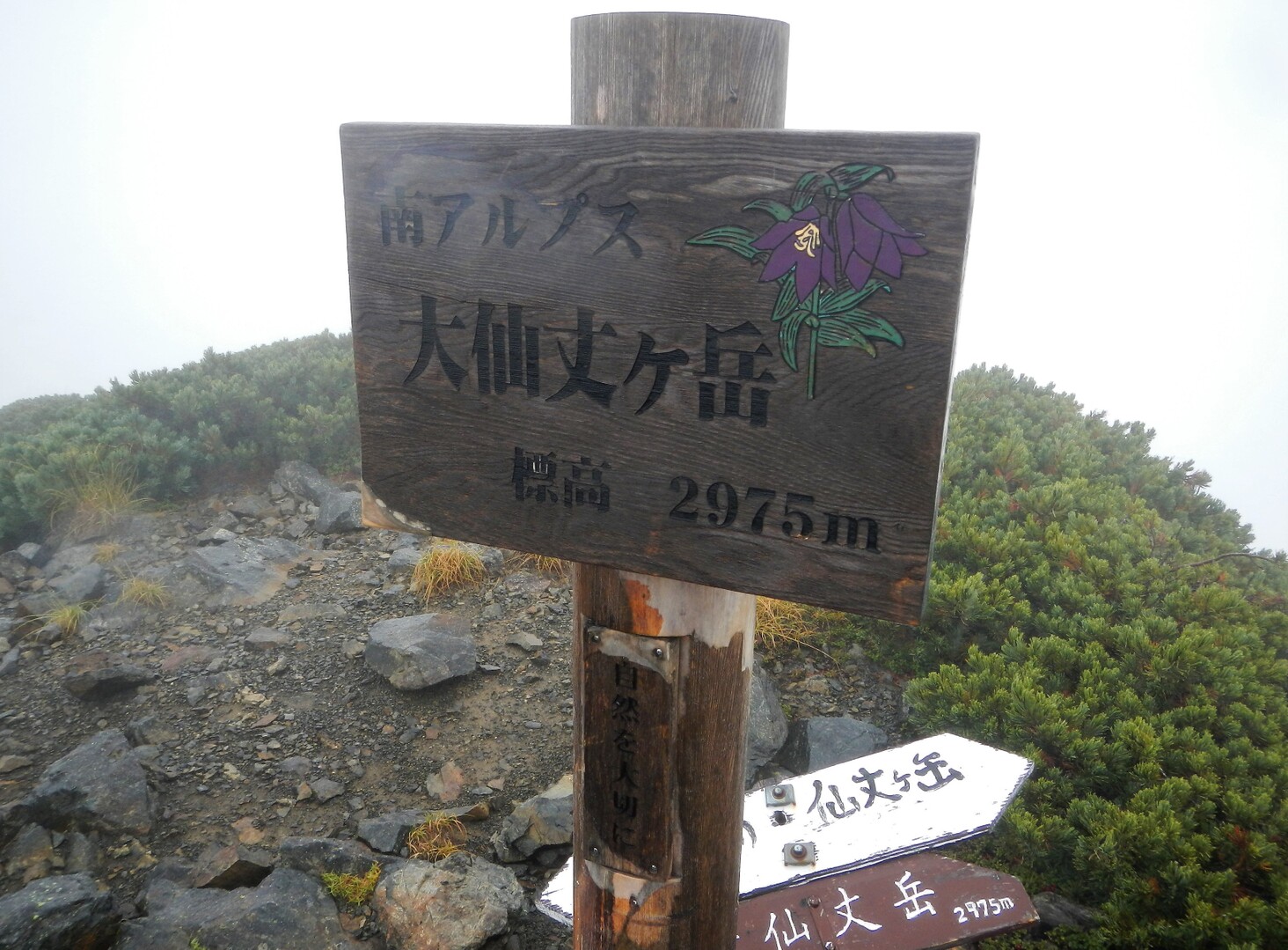 仙塩尾根 三峰岳 二俣小屋 広河原 過去ログ ダック ニコルソンさんの仙丈ヶ岳 伊那荒倉岳の活動日記 Yamap ヤマップ