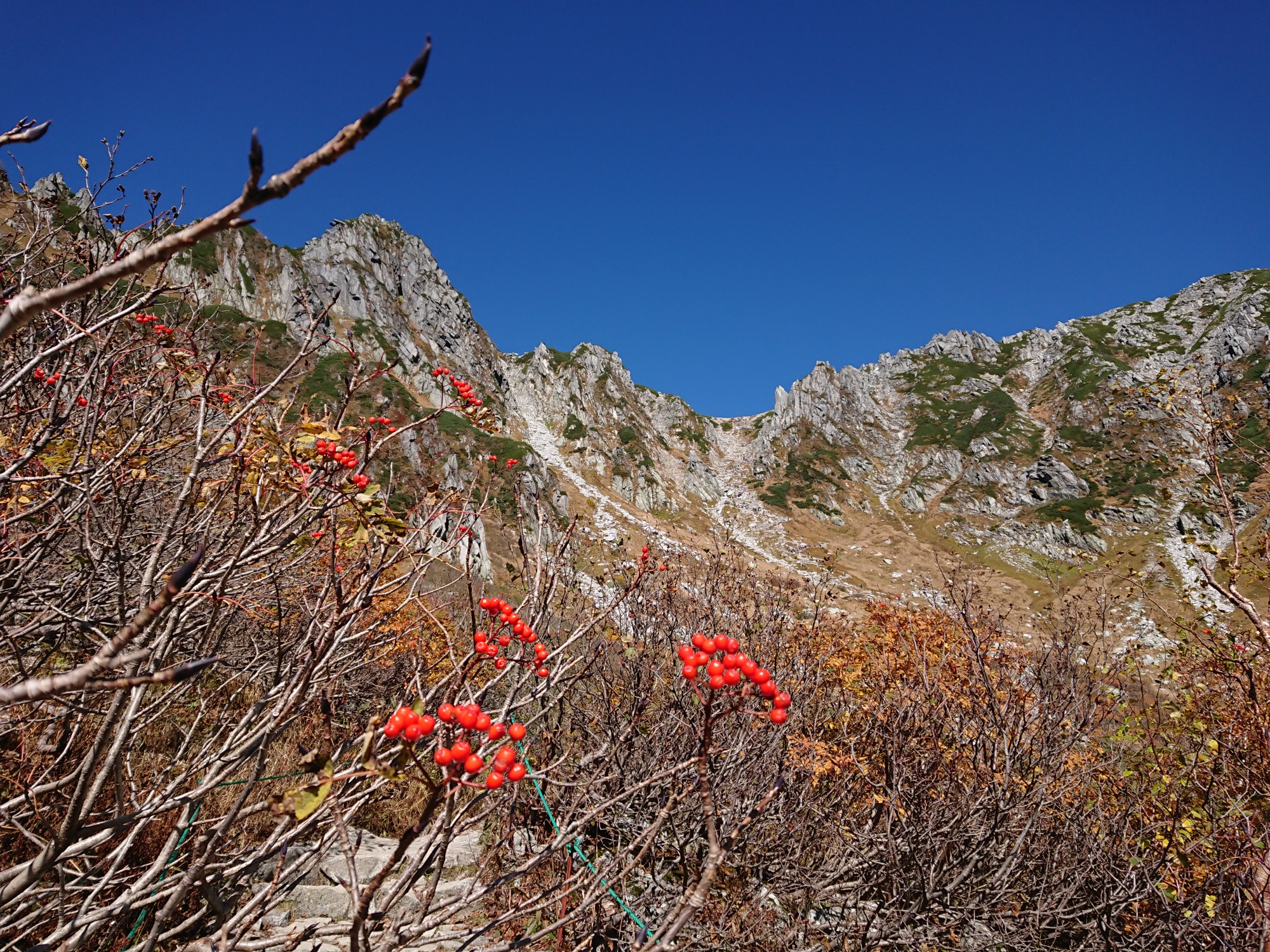 紅葉の千畳敷カール 木曽駒ヶ岳 宝剣岳 Dさんの木曽駒ヶ岳 空木岳 越百山の活動日記 Yamap ヤマップ