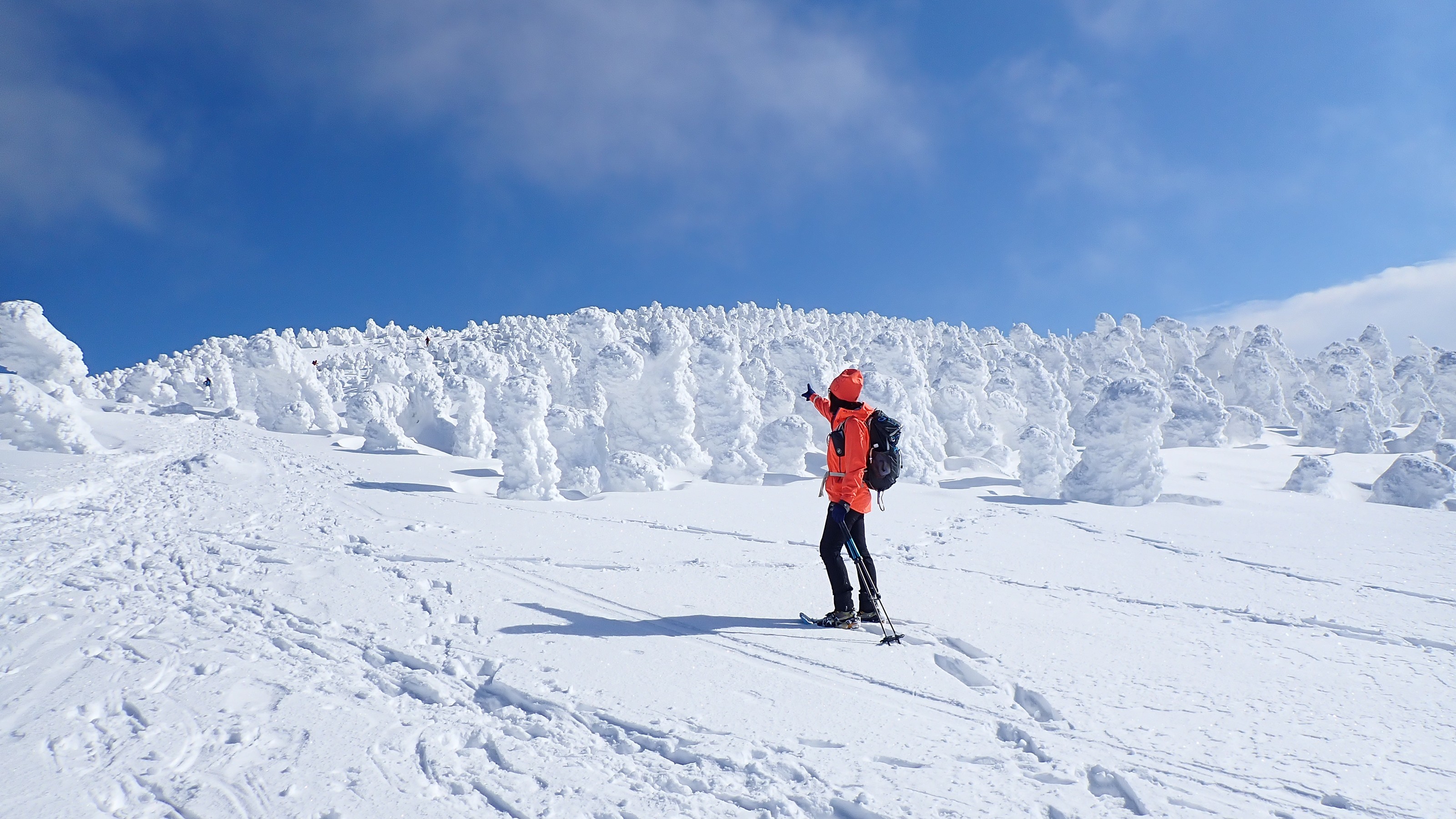 グランデコから西吾妻山へ O ミニモンスターがいっぱい Mikaさんの吾妻山 一切経山の活動データ Yamap ヤマップ
