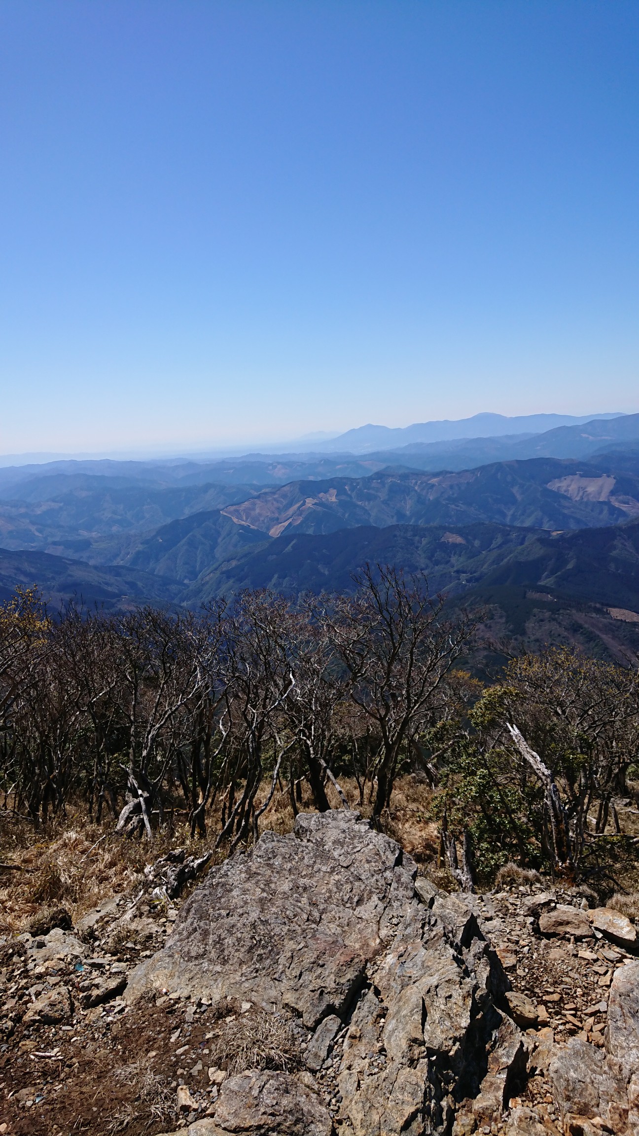 市房山20200320 YAMAP / ヤマップ