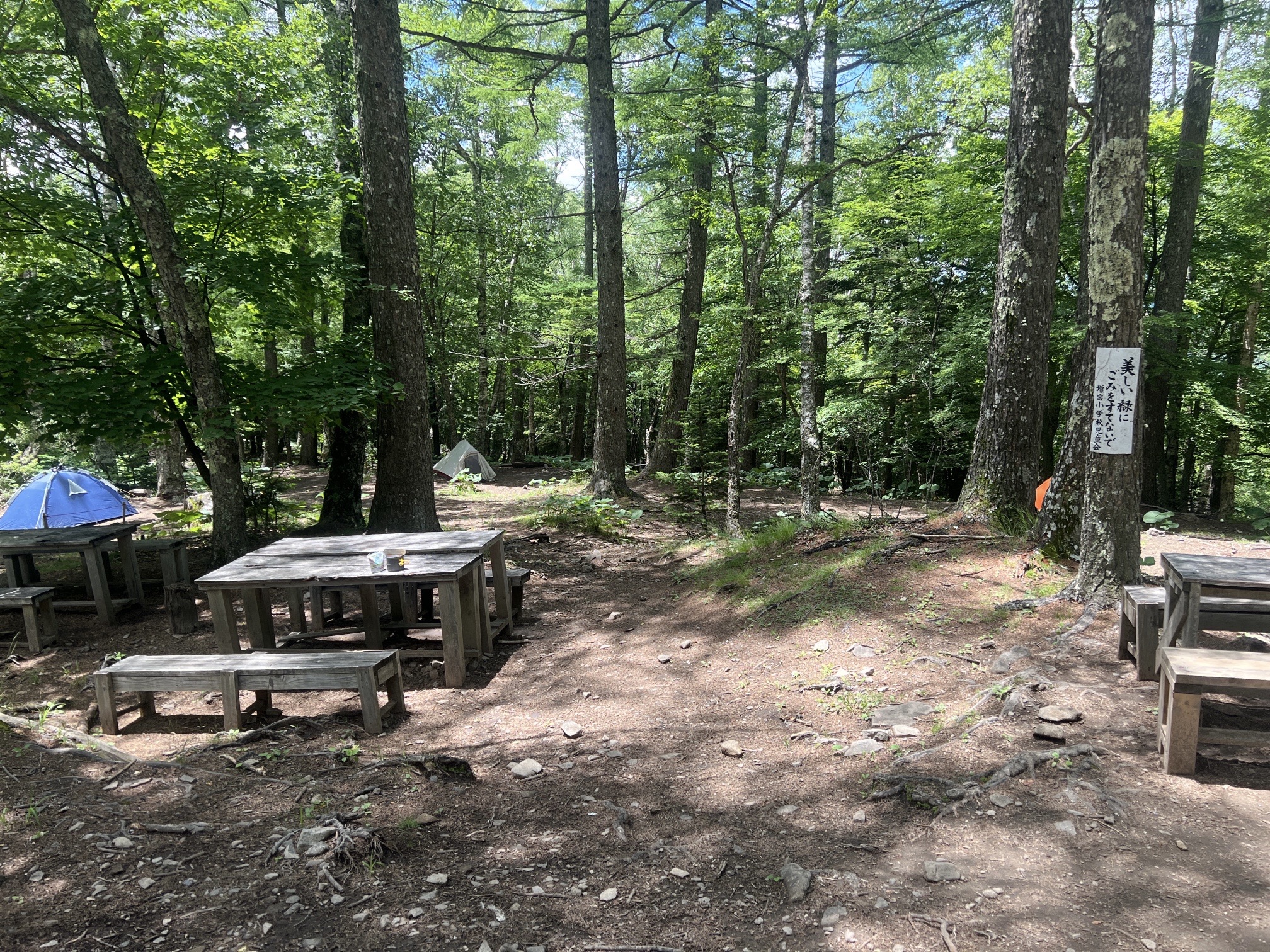 テント張り場、広大です。