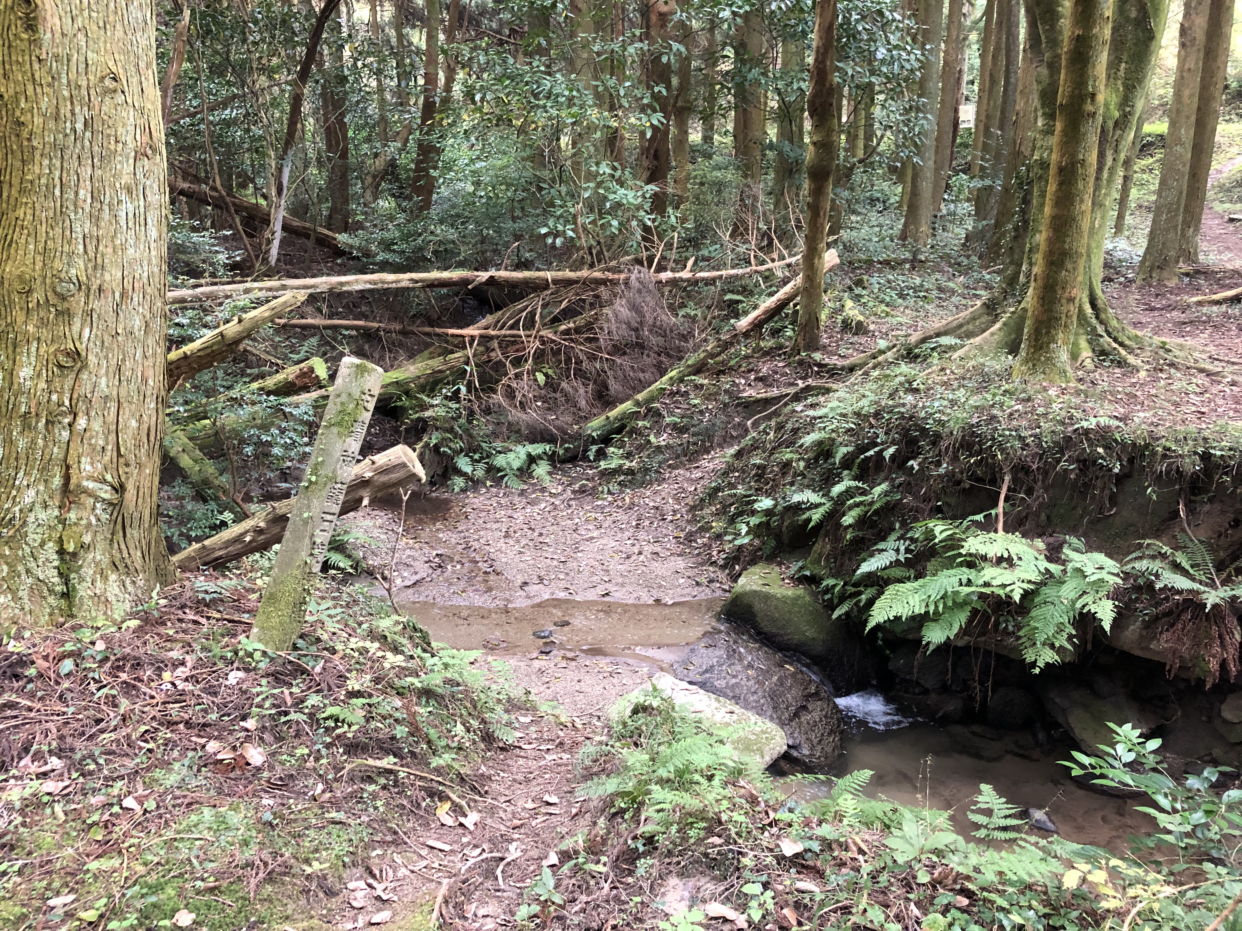 198 雷山神籠石へ 筑前前原sta 雷山神籠石 うぉーきんぐさんの糸島三都110キロウォークの活動データ Yamap ヤマップ