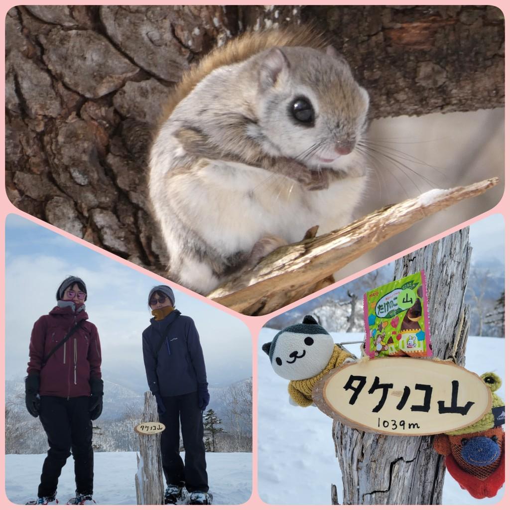 タケノコ山（北海道） | YAMAP / ヤマップ