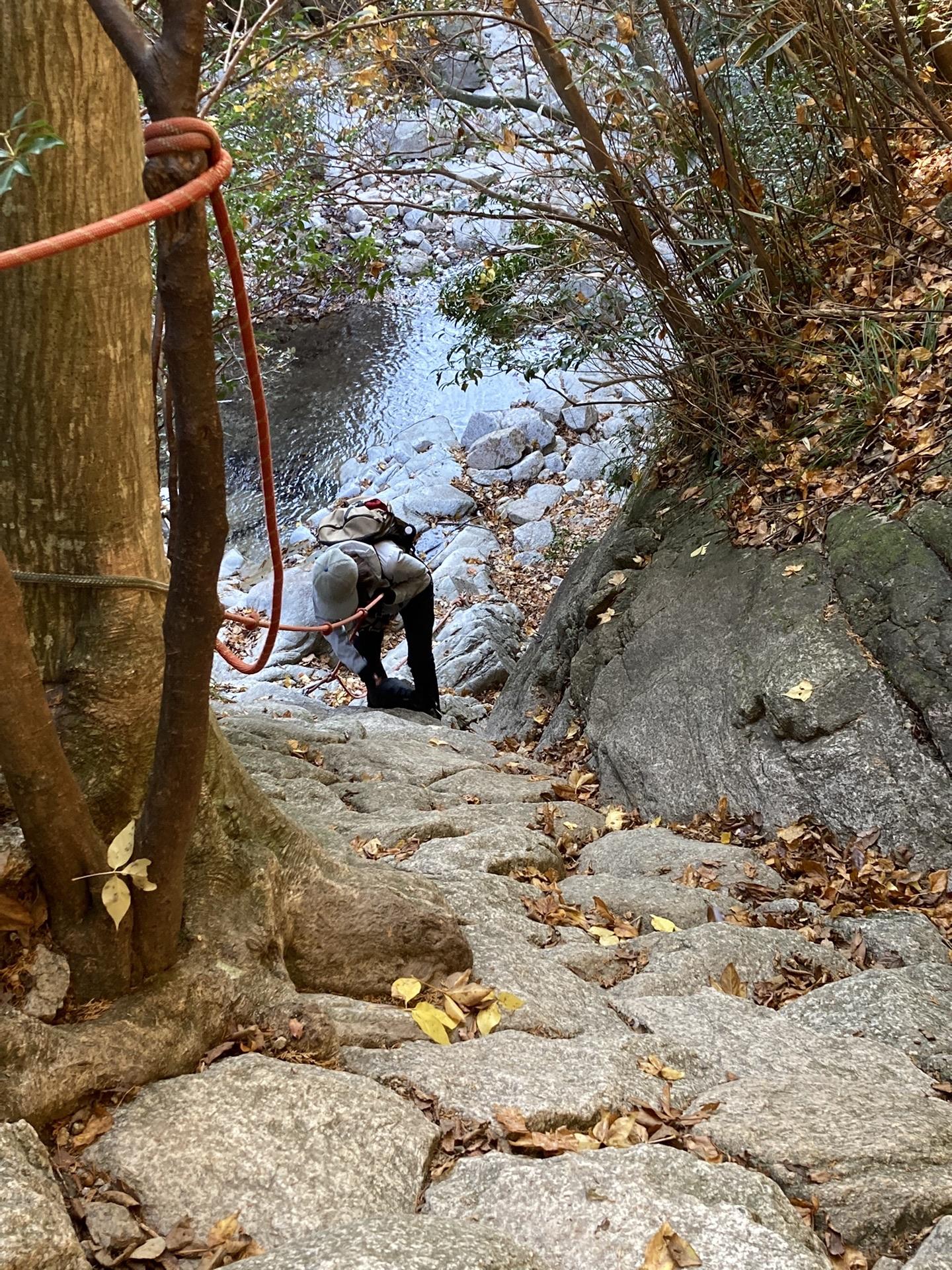 釈迦ヶ岳 次はちいちゃん