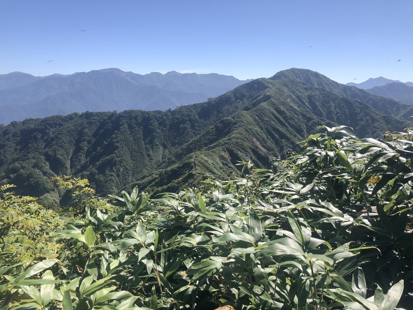 僧ヶ岳1855 秋晴れ登山 / 愛場商店登山部さんの僧ヶ岳・駒ヶ岳（越中駒ヶ岳）の活動データ YAMAP / ヤマップ