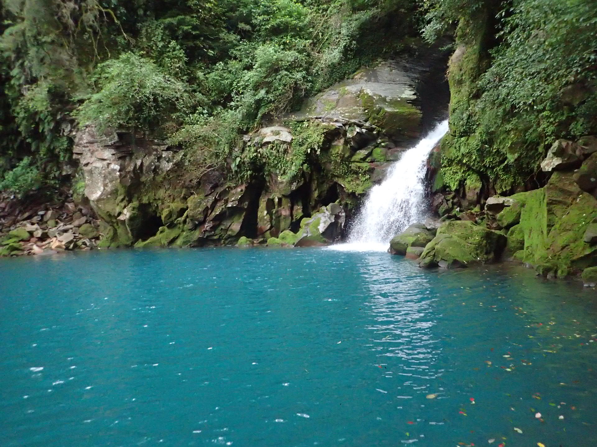 長江川 霧島 7月23日 ウメ吉さんの沢登りの活動データ Yamap ヤマップ
