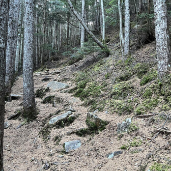 瑞牆山・金峰山 フカフカで歩きやすい