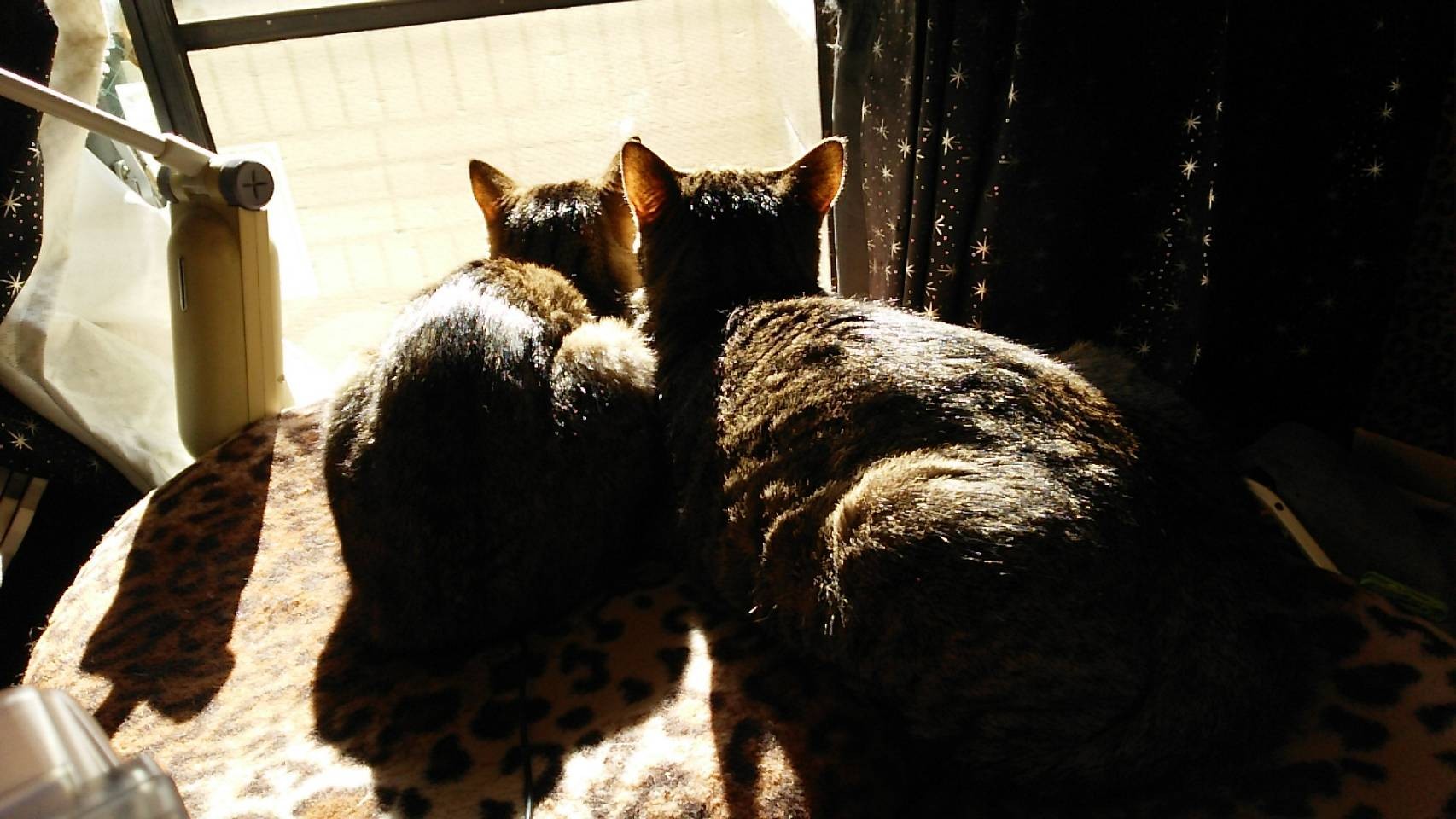 エリ、ありがとう。これからもずっと。 / ☆S ∞MЯK☆エリゴンズさんの 