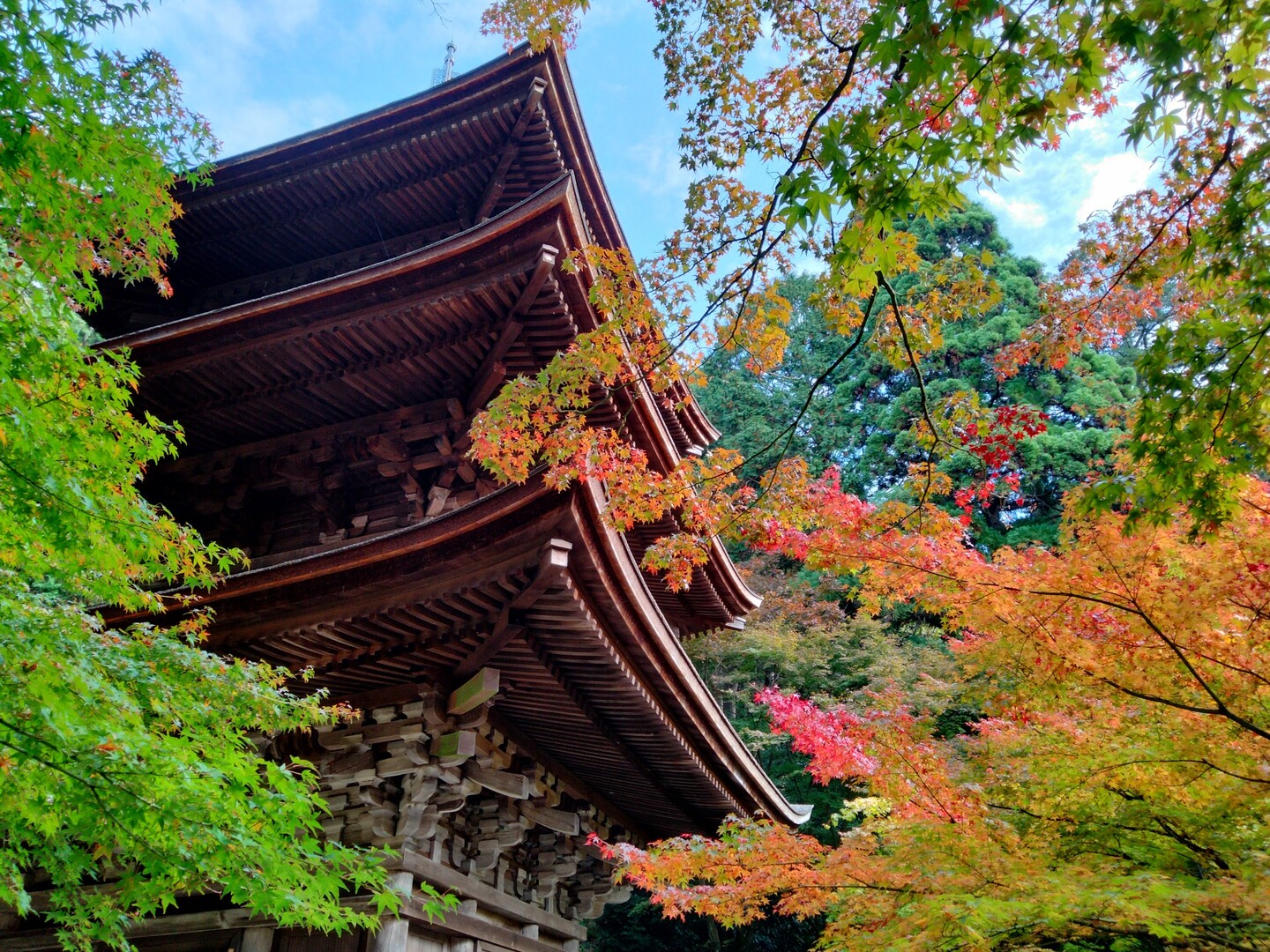 湖東三山西明寺まで紅葉参りに行ってきまし... / kazuさんのモーメント YAMAP / ヤマップ