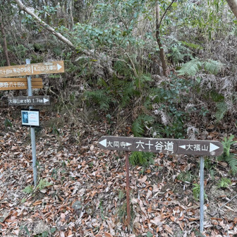 紀泉アルプス・飯盛山・ボンデン山 分岐