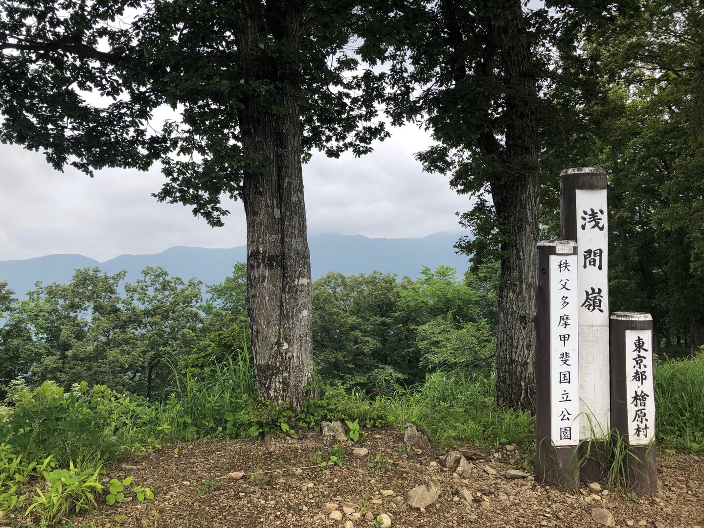 06 27 浅間尾根ゆっくりハイク たかさんの浅間嶺 松生山の活動日記 Yamap ヤマップ