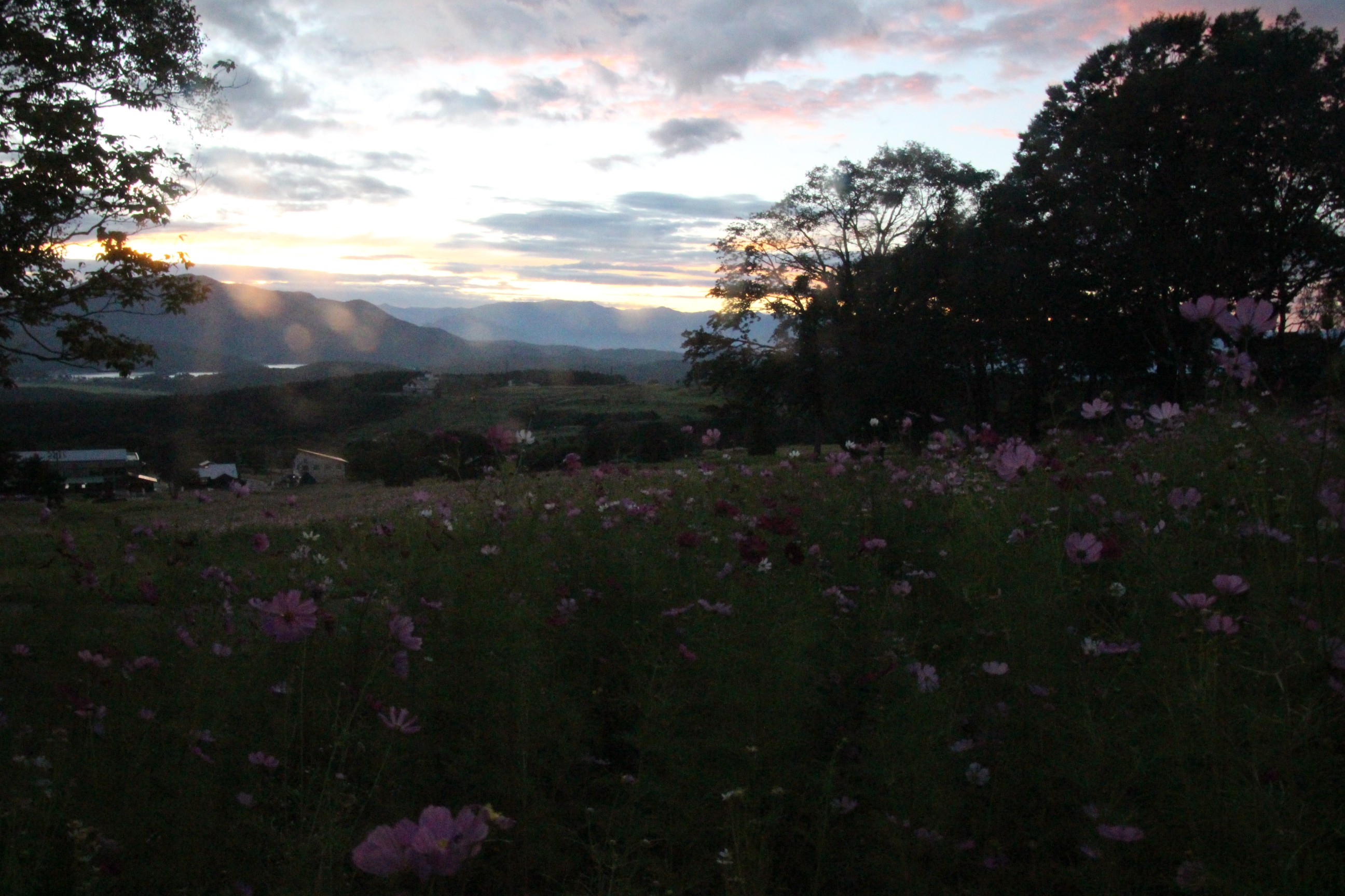 無念の黒姫山 長野県 09 04 もぐ男さんの黒姫山の活動日記 Yamap ヤマップ
