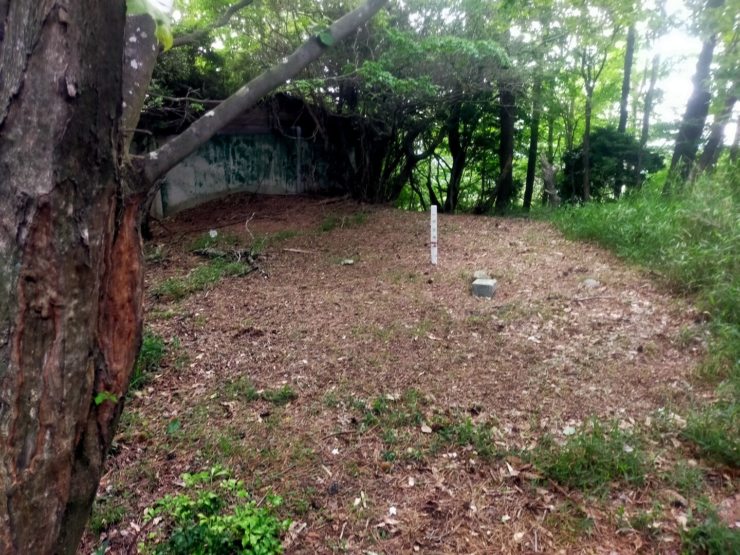 石堂ガ岡 / bunpakuさんの六個山・鉢伏山・明ヶ田尾山・五月山の活動データ YAMAP / ヤマップ