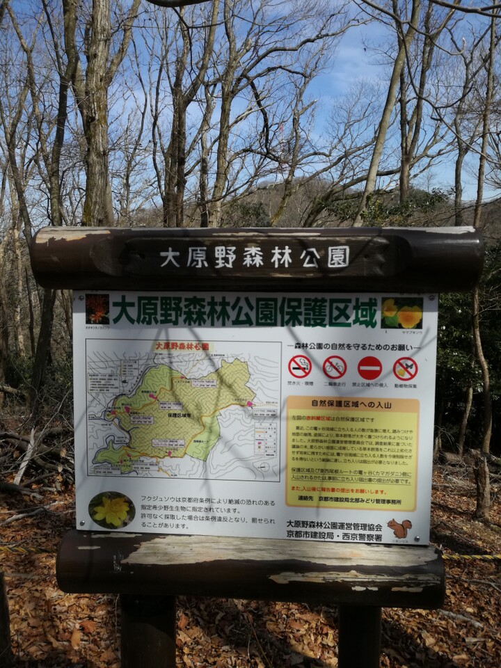 阪急バス 南春日町ー小塩山ー大原野森林公園ー福寿草自生地ーポンポン山ー 高槻市バス 神峰山口 03 09 ポンポン山 釈迦岳 小塩山 若山の写真31枚目 自然保護区域への入山 Yamap ヤマップ