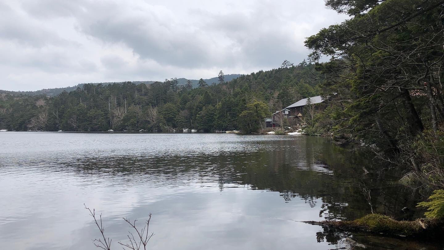 白駒池、に来るなら真夏が良いと思う