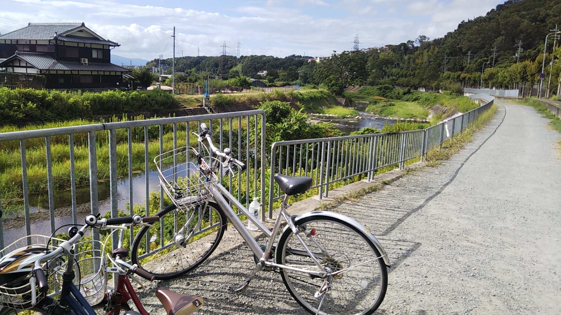 今シーズン2度目の摂津峡に行ってきた。 / えむけんさんの竜王山・阿武 