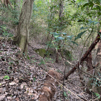 飯塚市 何かの施設跡②