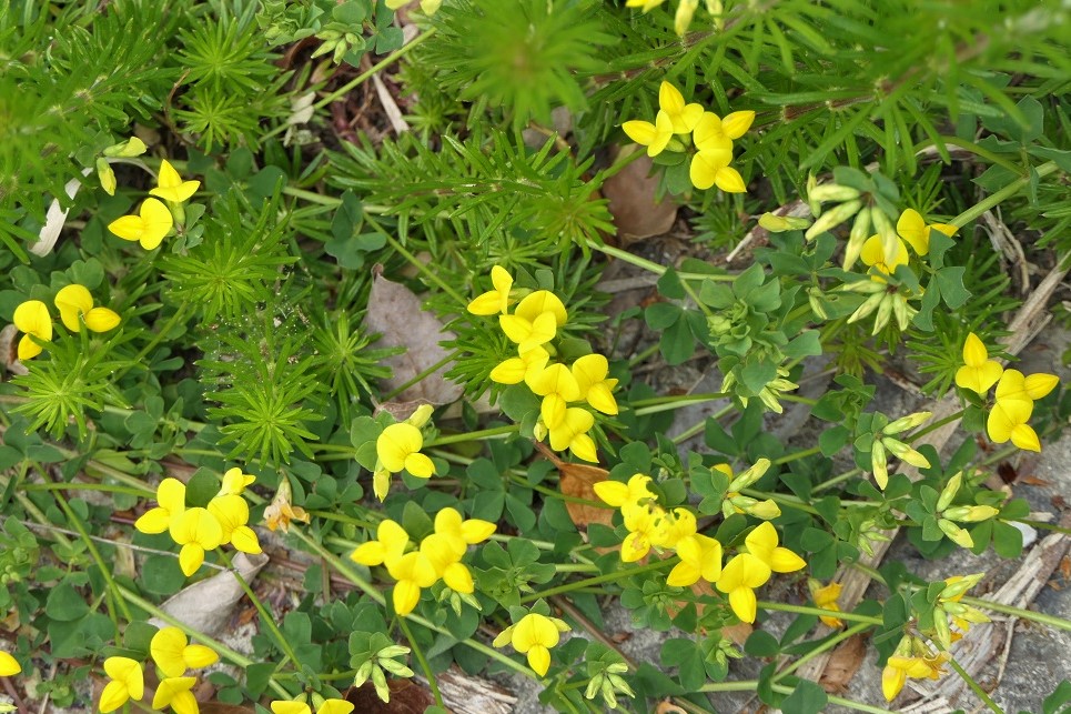 瀬戸内市三町にまたがる自然と史跡探勝 古代塩の道 備前焼のルーツ Denaliさんの岡山市 東区の活動日記 Yamap ヤマップ