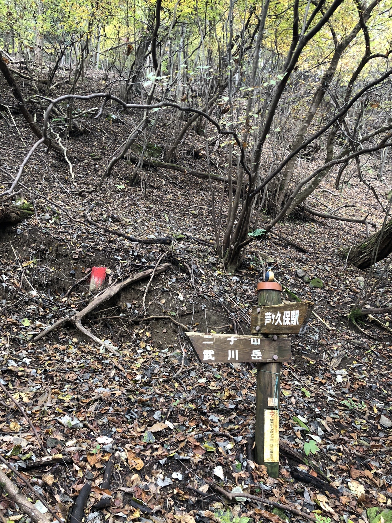 4時間で完結 秩父 横瀬 二子山 でハイキングと温泉を満喫 埼玉県 Lineトラベルjp 旅行ガイド