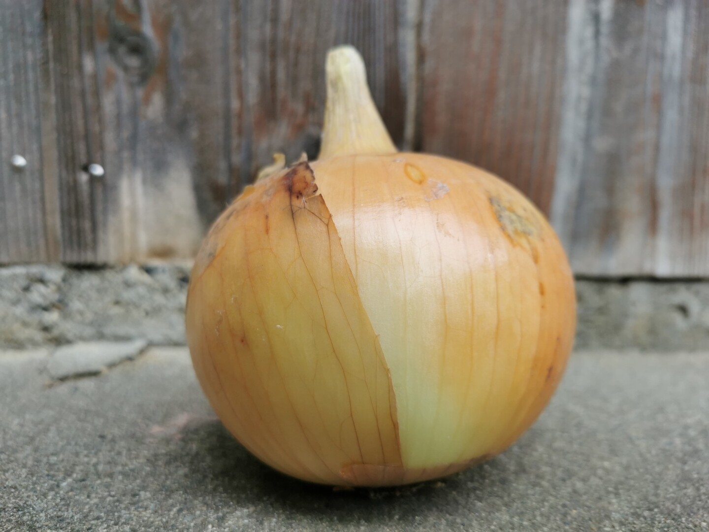 NAKAちゃん様専用 ナカちゃんさま専用 ( 1月1日まで ) なかちゃん様