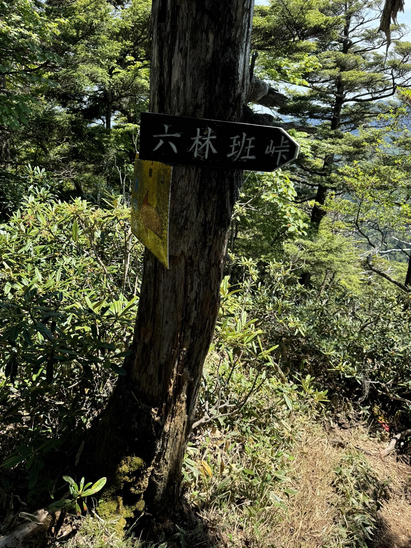 皇海山・袈裟丸山・庚申山 六林班の薮漕ぎはせずピストンで戻ります。