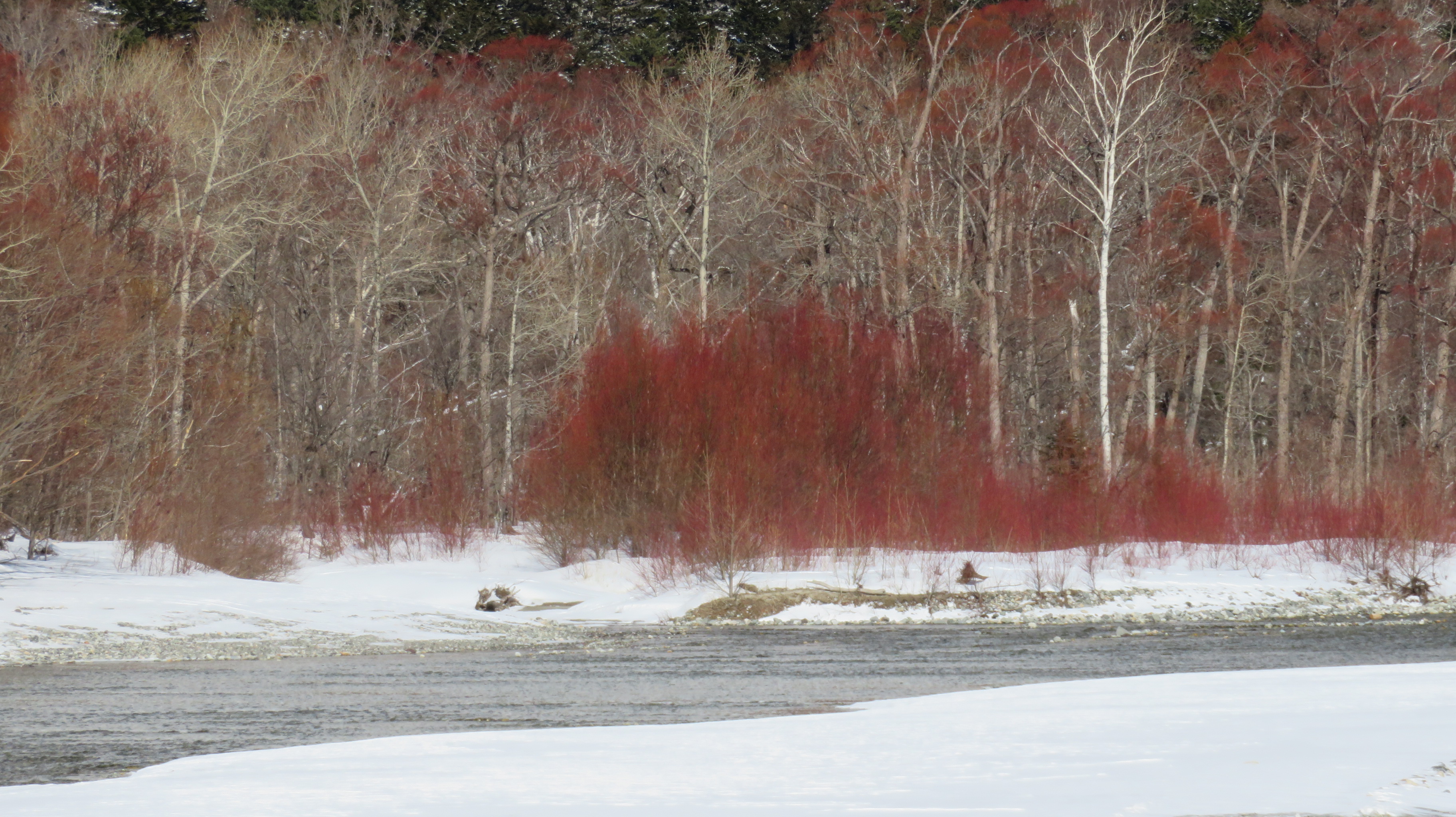 冬の神降地は楽猿でした 上高地 02 11 Manoさんの槍ヶ岳 穂高岳 上高地の活動日記 Yamap ヤマップ
