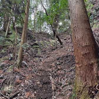 六甲山・長峰山・摩耶山 こんなところを下されます。
やれやれ😥