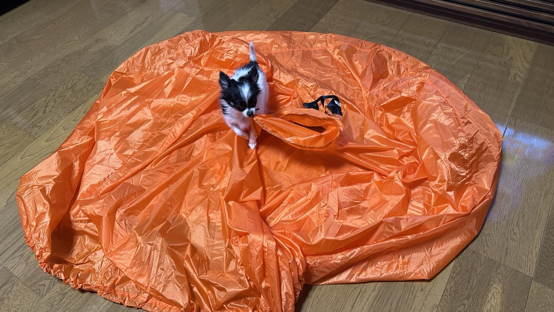 DKシェルター　Sサイズ DKシェルター - 商品紹介 - 山岳医療救助機構