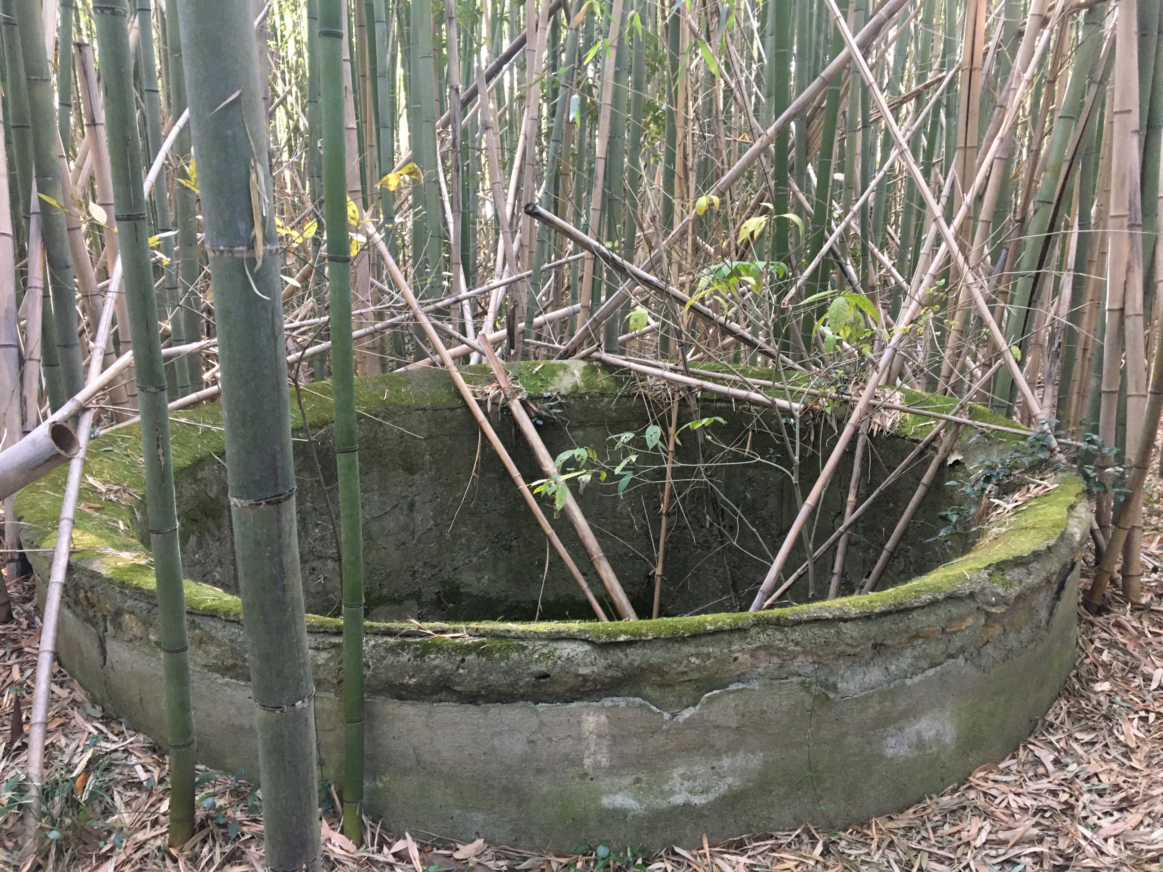 鍛冶山城 かじやまじょう 跡散策 防空監視哨 聴音壕 岡山市 北区 19 12 08 Syn3さんの岡山市 北区の活動日記 Yamap ヤマップ