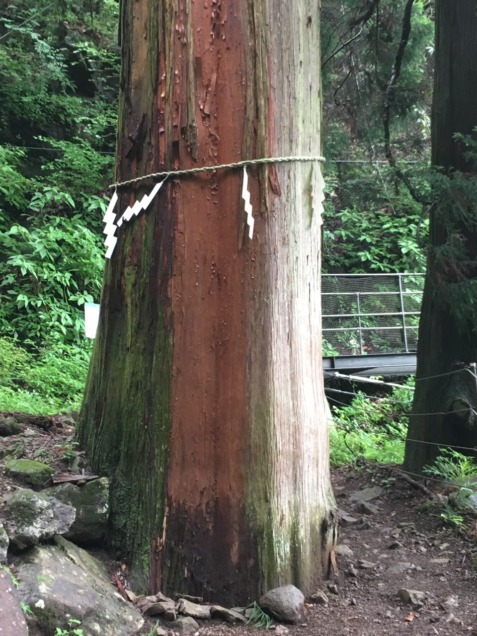 長靴登山とはどんなものだろ 大山 神奈川 Meindlさんの大山 神奈川県 の活動日記 Yamap ヤマップ