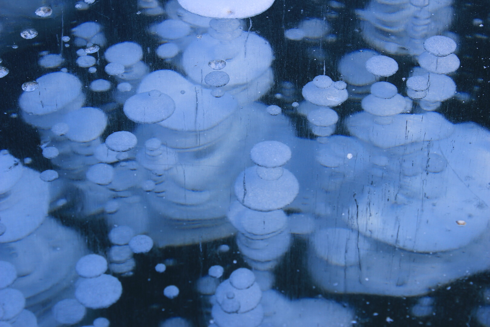 Abraham Lake Ice Bubbles くまちゃんさんのアブラハム湖の活動データ Yamap ヤマップ