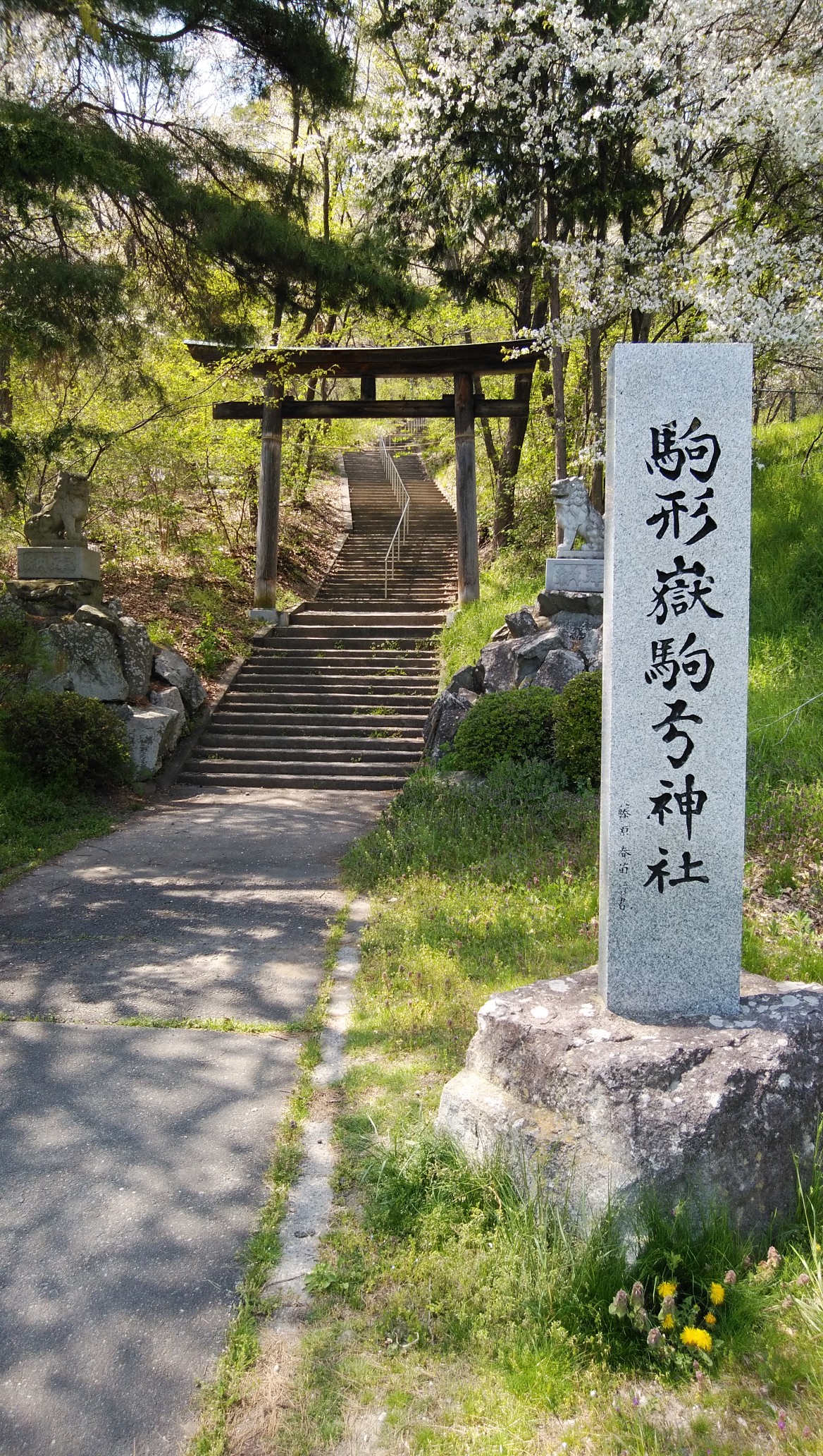 長野市近郊 3 地附山 インコさんの長野市の活動日記 Yamap ヤマップ