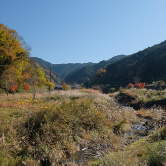 飛鳥へ降りて来ました。