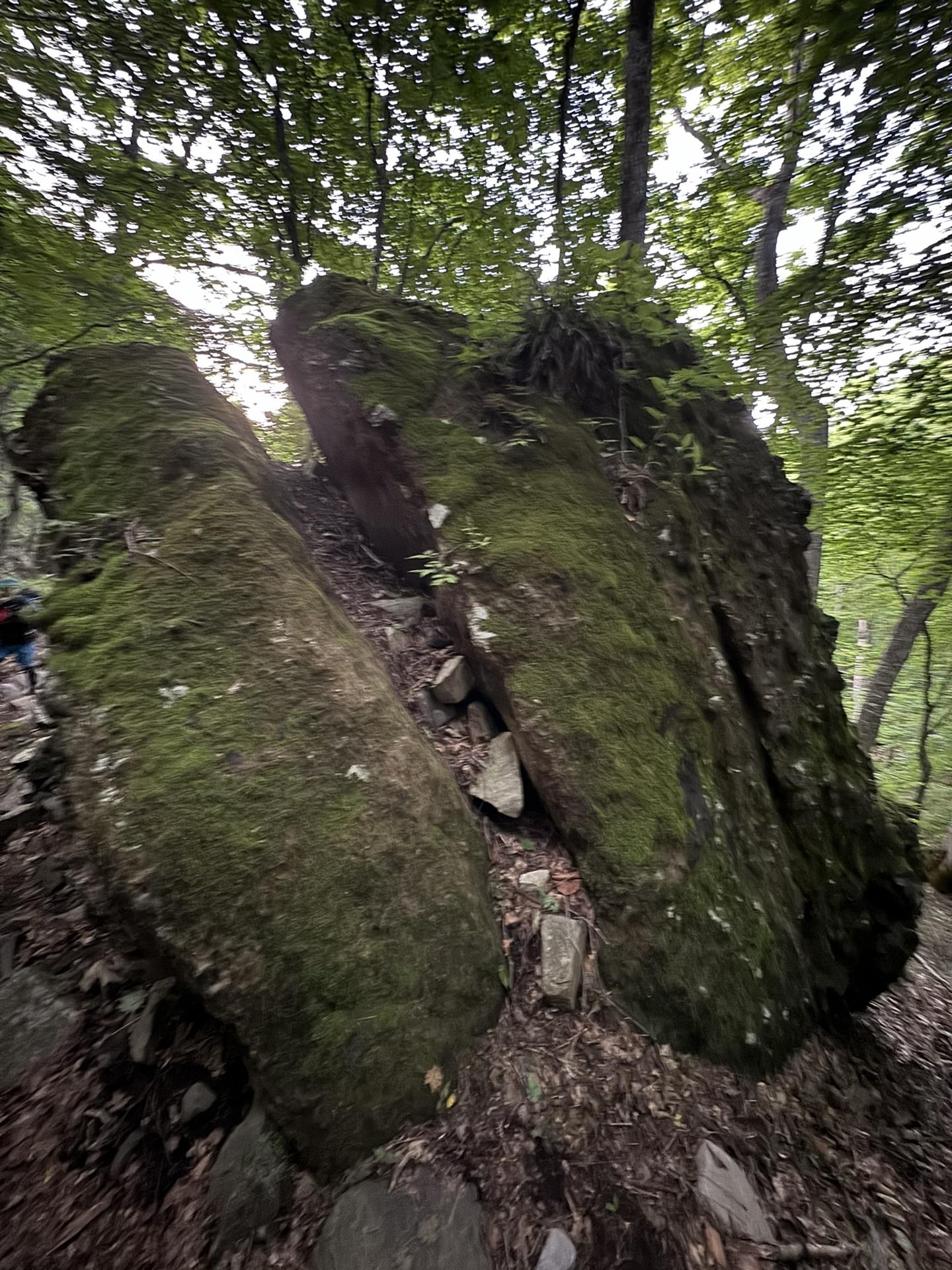 皇海山・袈裟丸山・庚申山 夫婦蛙岩
