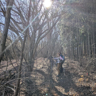 堂平山・笠山（乳房山）・大霧山 これから行く堂平山の山頂が目立ちます