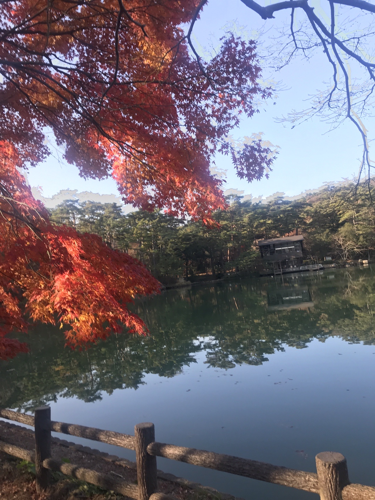 紅葉散る六甲山地 修法ヶ原池 摩耶山 新神戸 Annpapaさんの六甲山 長峰山 摩耶山の活動データ Yamap ヤマップ