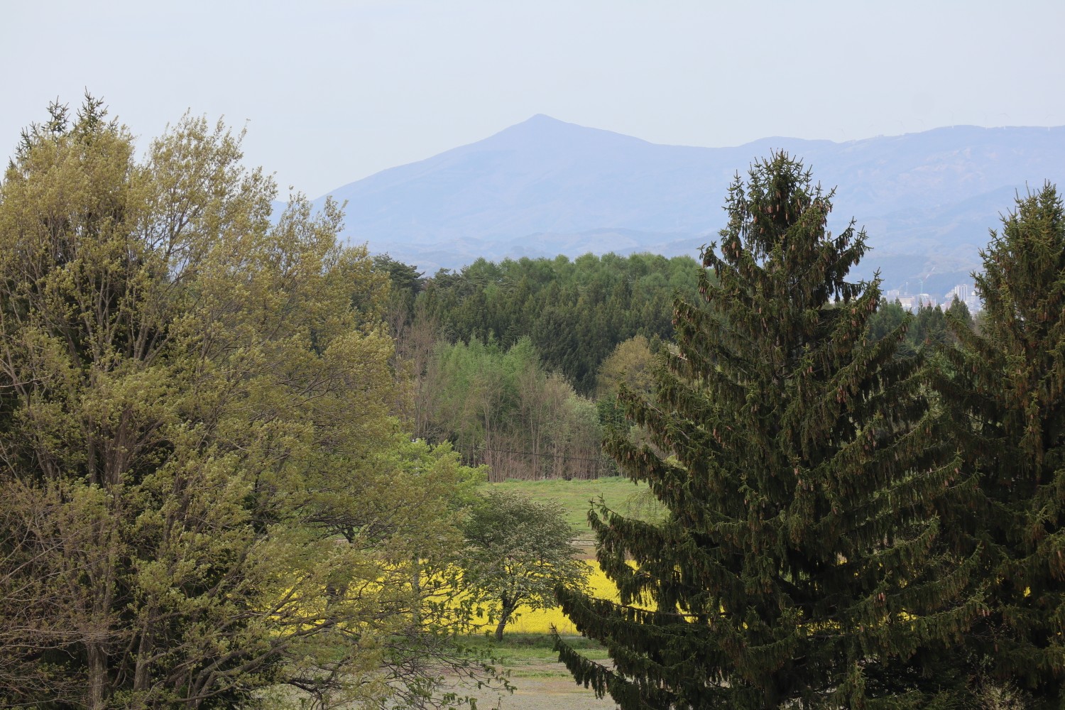 煙山ひまわりパークの菜の花畑 城内山からの田園風景 かずさんの南昌山 東根山 箱ヶ森の活動データ Yamap ヤマップ