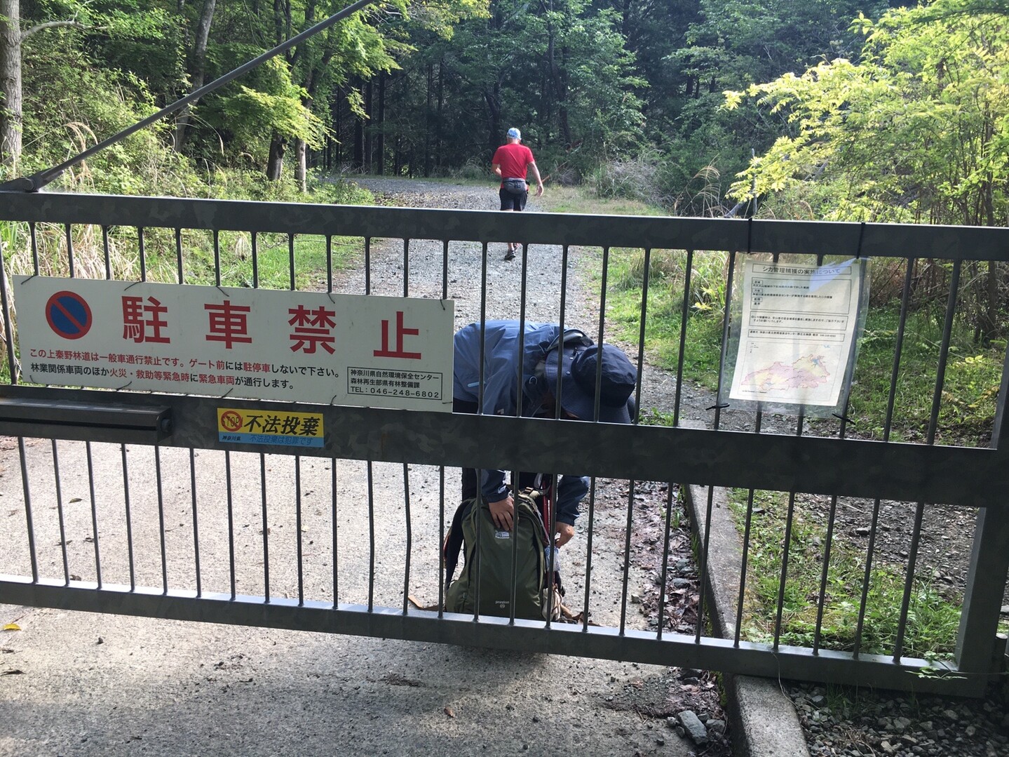 塔ノ岳 カミナリ と雹で散々な目に とくさんの丹沢山の活動日記 Yamap ヤマップ