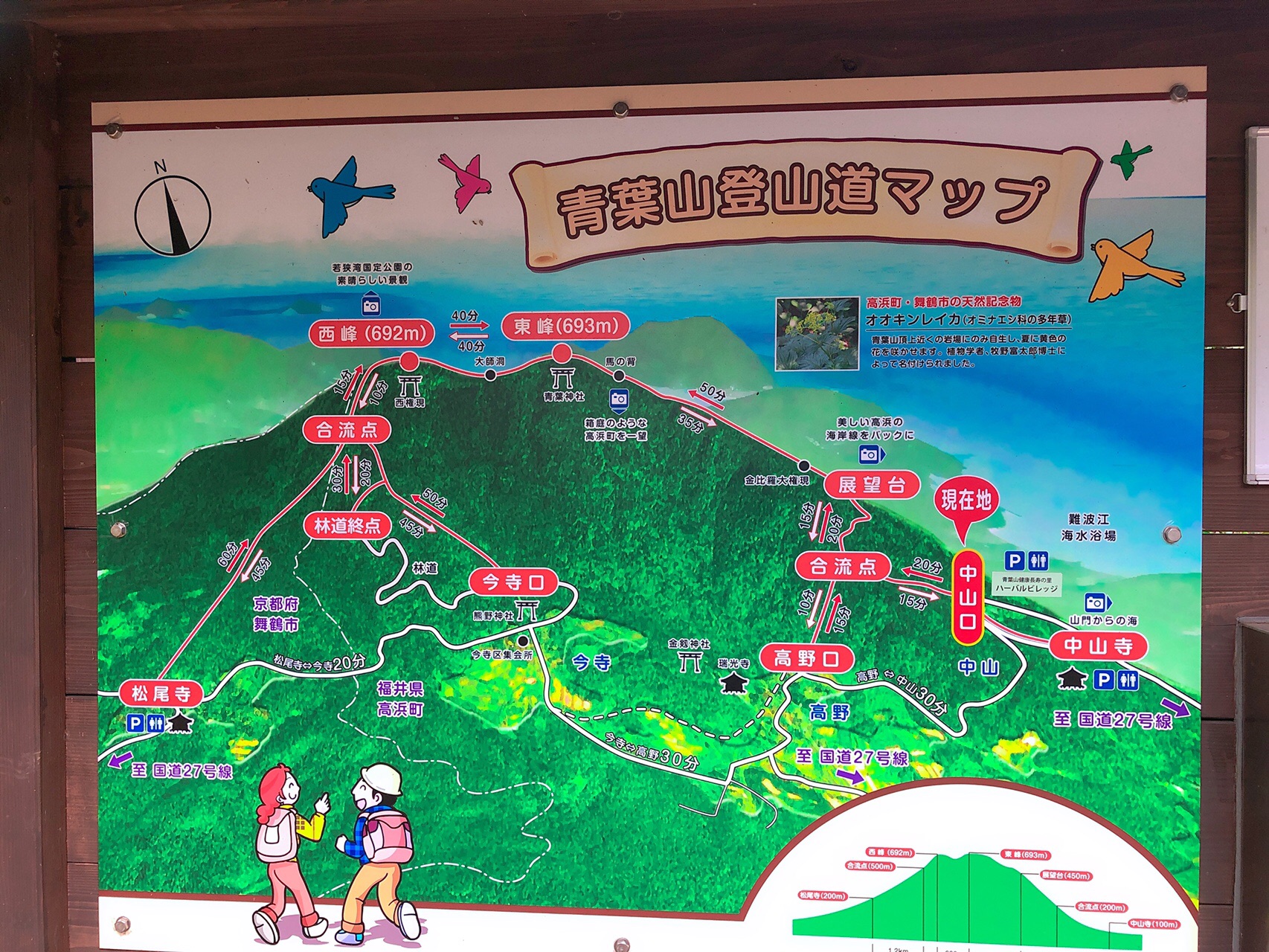 海に浮かぶ若狭富士だよ 青葉山 19 11 30 いなりさんの青葉山 京都府 福井県 の活動日記 Yamap ヤマップ