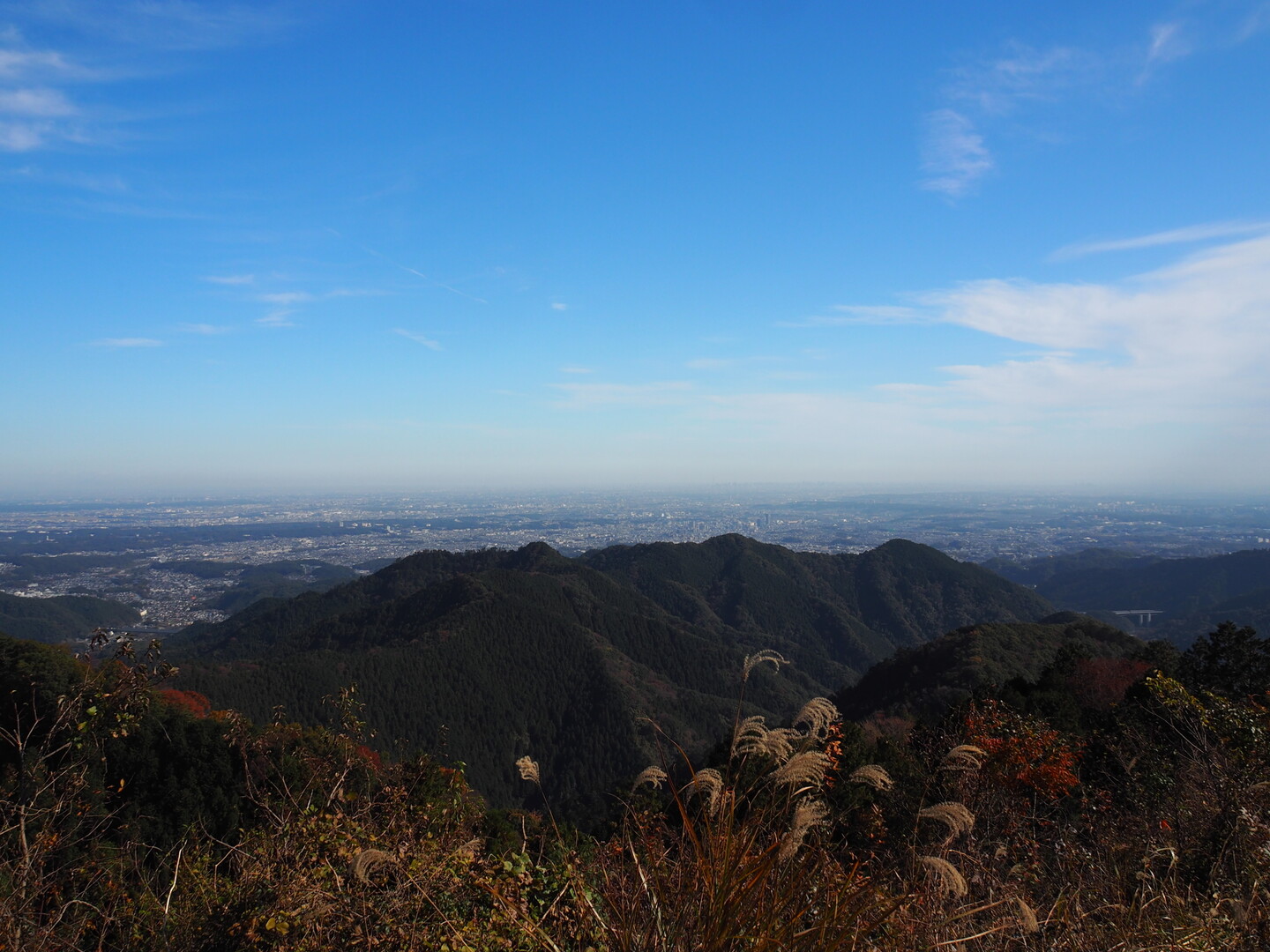 景信山の最新登山情報 人気の登山ルート 写真 天気など Yamap ヤマップ