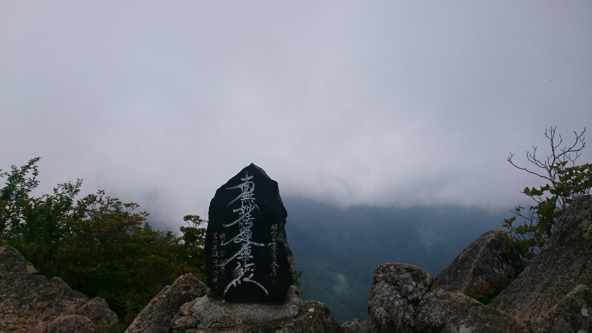 富士の山そろそろ登るかたつむり 蝸牛 登らば登れ 富士の山 : おのひきだし