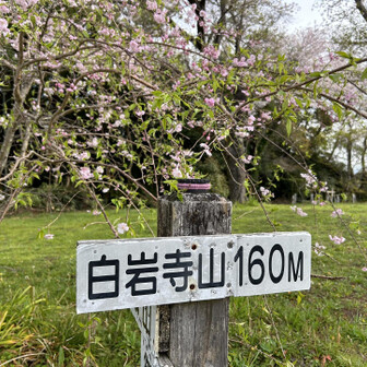 千葉山・白岩寺山 山頂到着です。20分くらい。