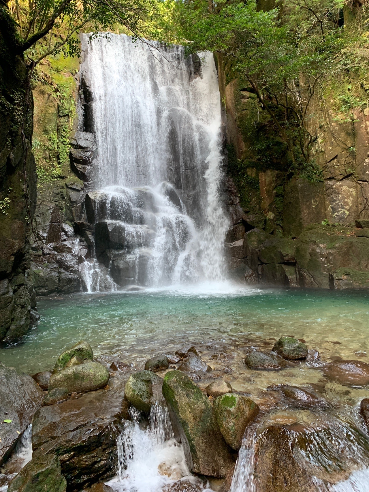 桑ノ木の滝 新宮市 ジョブさんの千穂ヶ峯 権現山 神倉山の活動日記 Yamap ヤマップ
