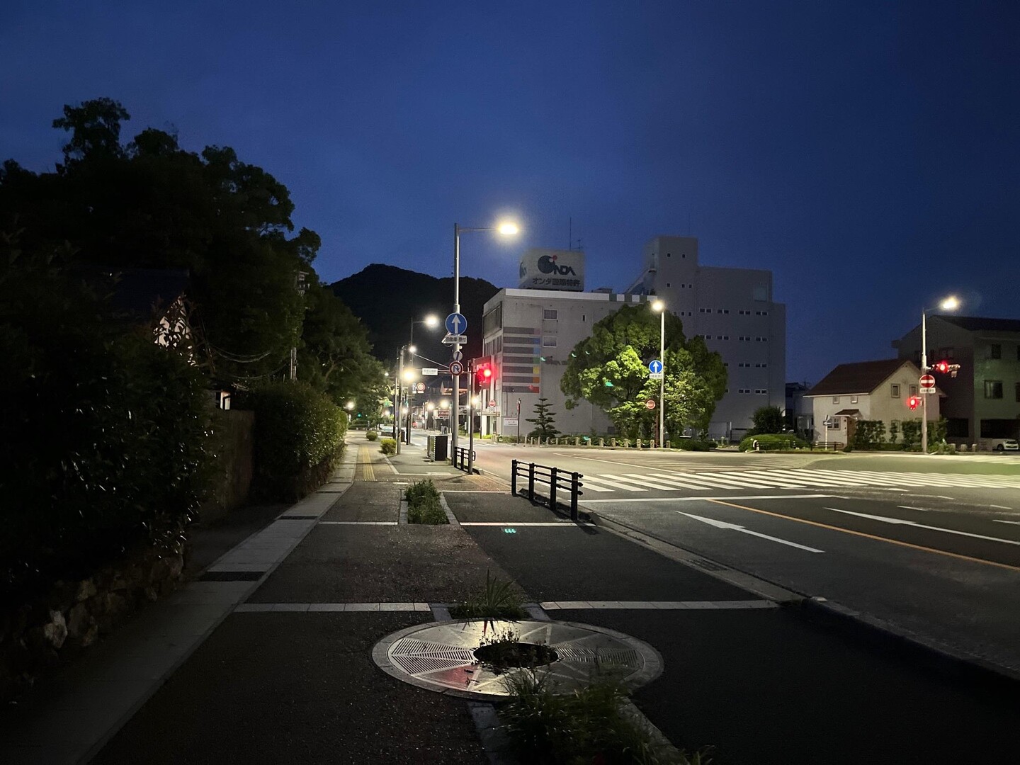 梅雨の晴れ間に橿森神社～金華山 / TS3000さんの金華山・洞山・舟伏山の活動データ YAMAP / ヤマップ